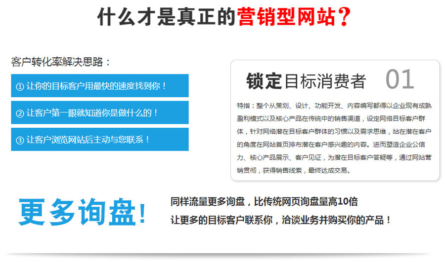 海外营销推广营销型网站建设  第1张